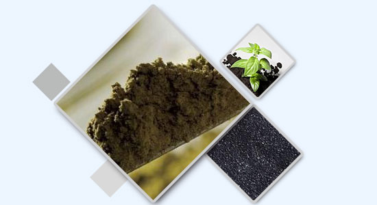 优质服务，实力有保证